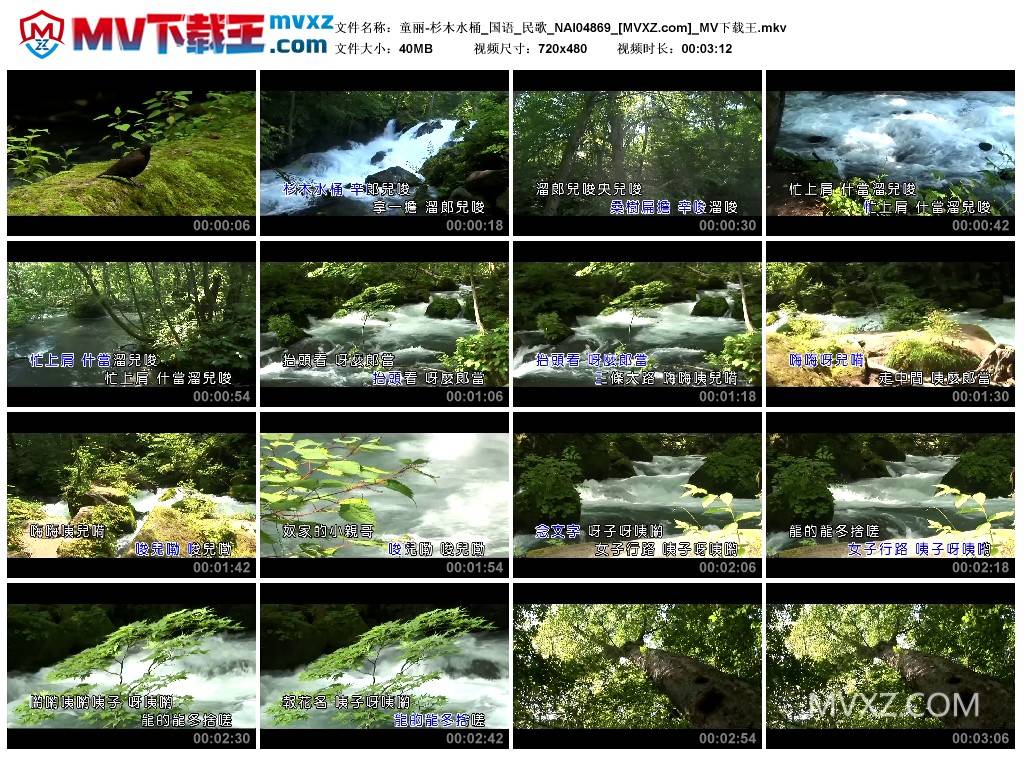 童丽-杉木水桶_国语_民歌_NAI04869